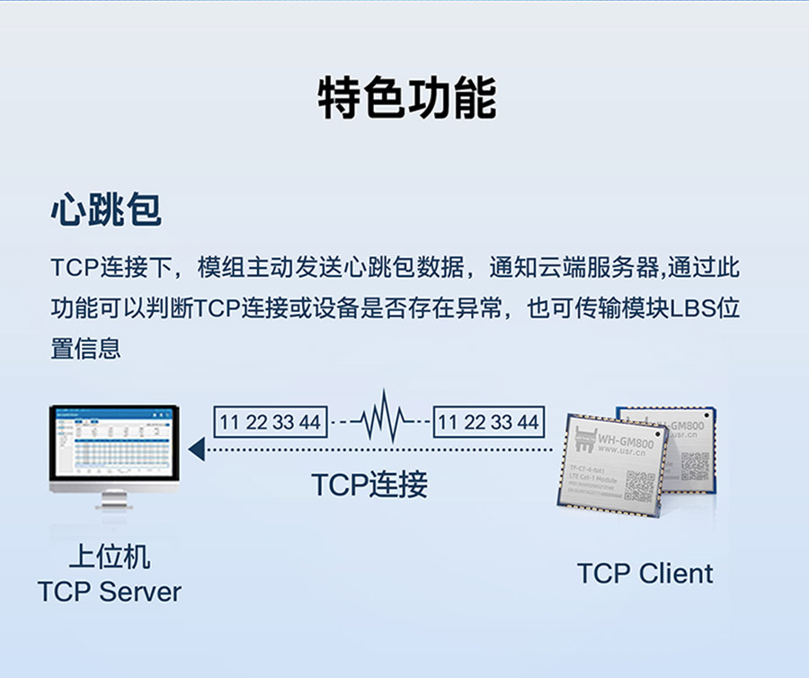 Cat-1���� ������